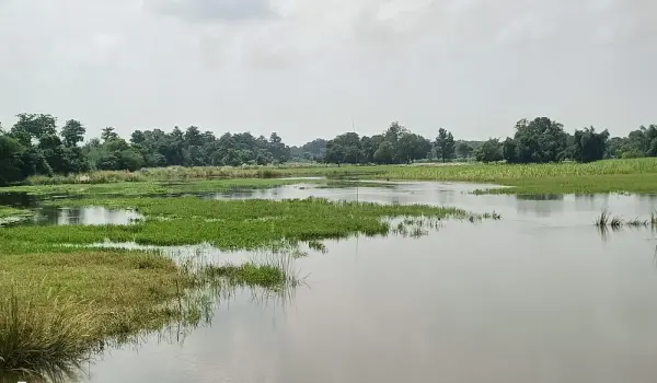 अम्बेडकरनगर में सरयू का जलस्तर बढ़ा, देवारांचल के खेत जलमग्न; फसल पर संकट